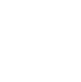 cremation-icon