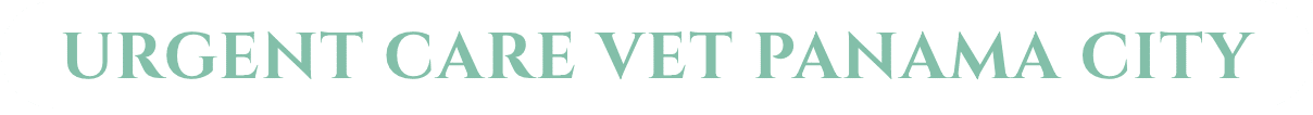 Urgent Care Vet Panama City Text Only Light Green Logo